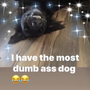 Meet your Posher, Leaira